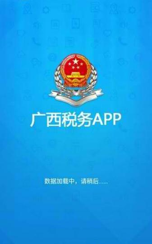 广西税务截图1