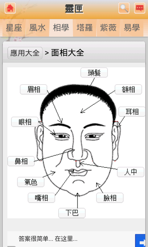 全能占卜大师截图3