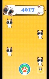 猫的十次方截图3