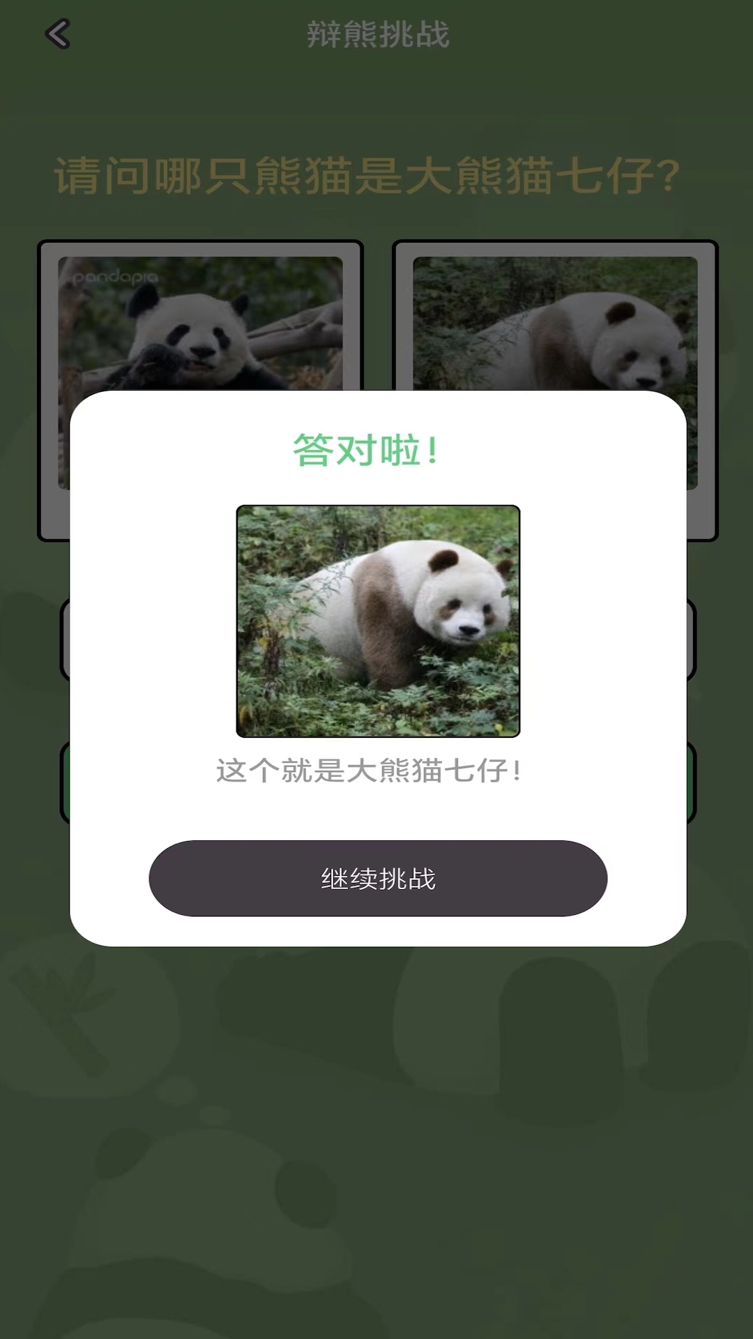 熊猫趣看截图5