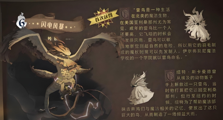 哈利波特魔法觉醒闪电卡组有哪些