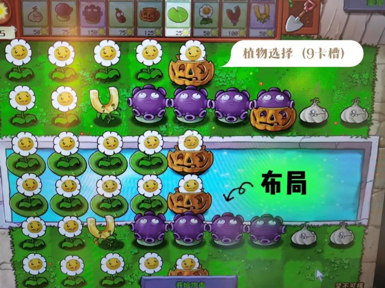 植物大战僵尸如何快速攒钱