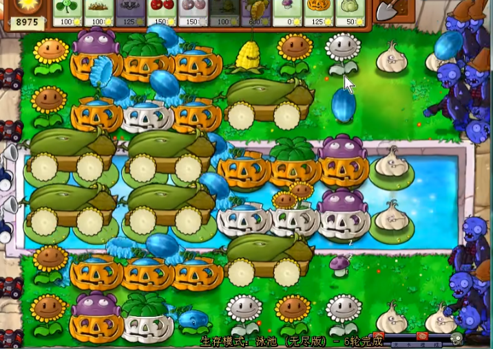 植物大战僵尸无尽版最佳布阵是什么