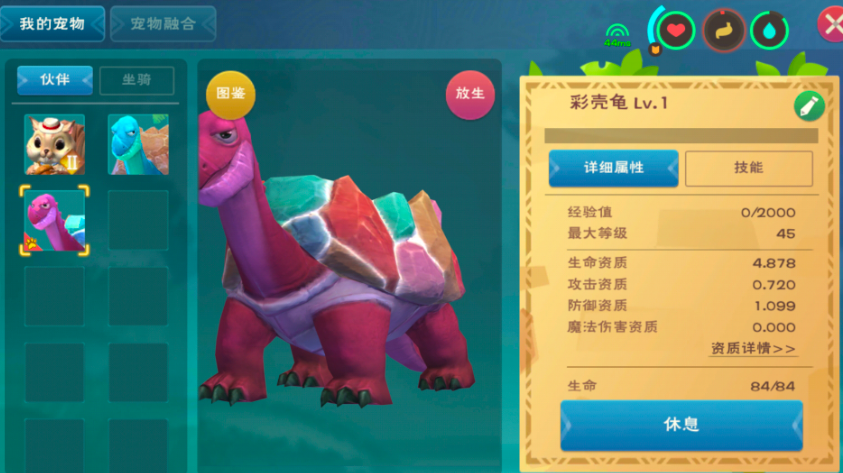 创造与魔法彩壳龟在哪