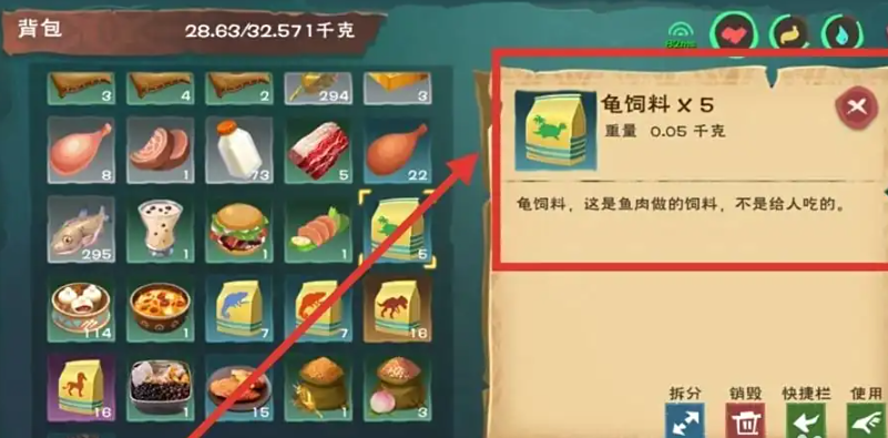 创造与魔法龟吃什么