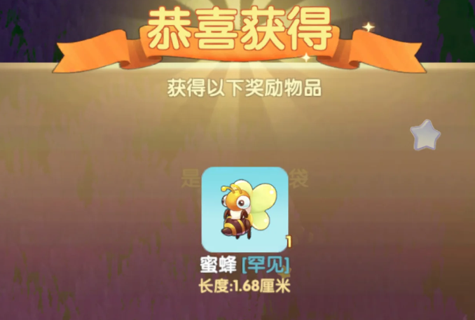 摩尔庄园蜜蜂怎么玩
