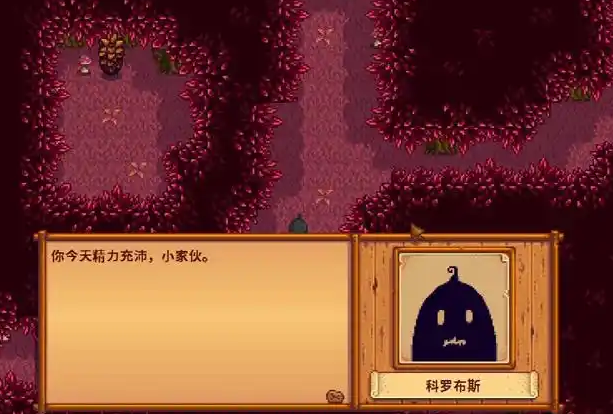 星露谷物语秘密任务14怎么做