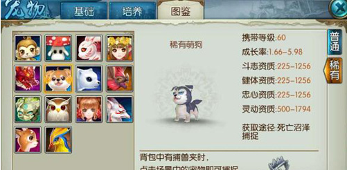 诛仙手游稀有萌狗怎么加点