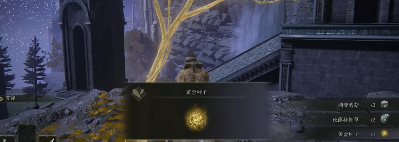 艾尔登法环黄金种子怎么获得