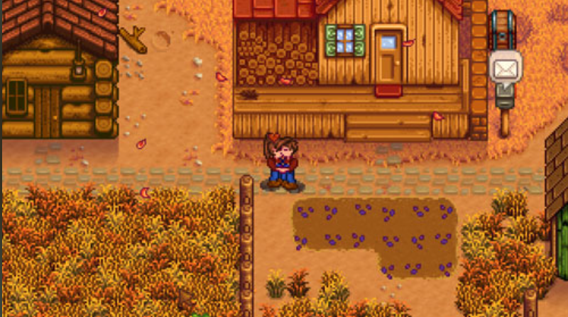 星露谷物语亲密度满了之后干什么