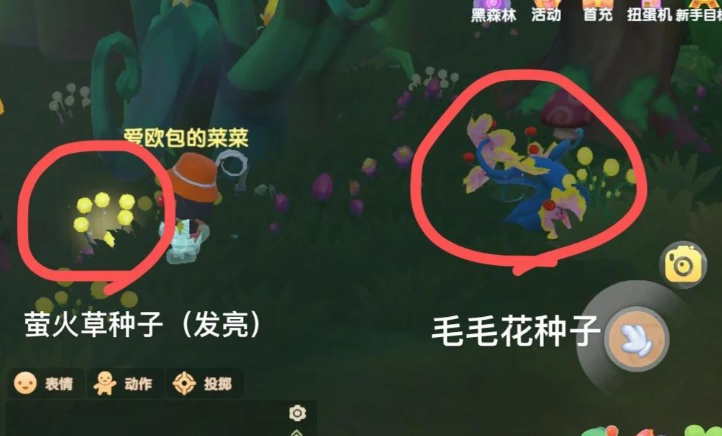 摩尔庄园怎么闯黑森林