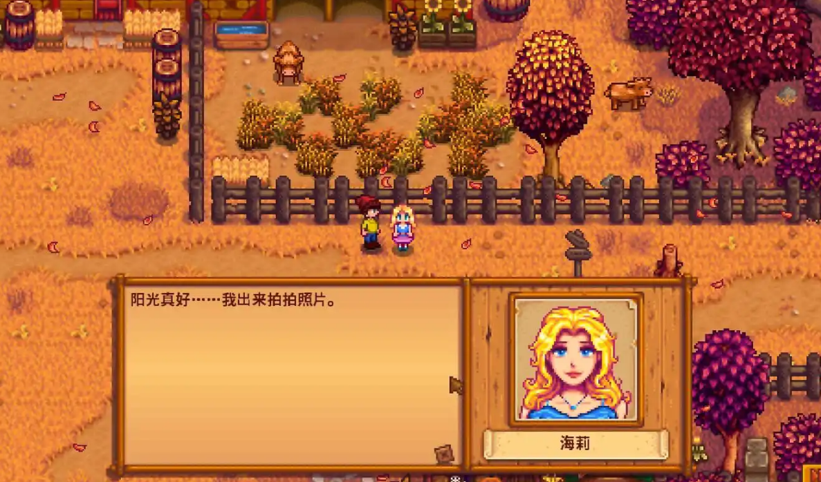 星露谷物语海莉今天做点什么