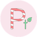 picsaypro趣味绘图