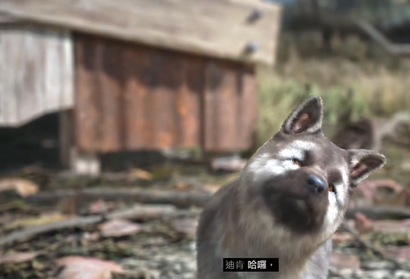 往日不再捕捉小狗怎么抓