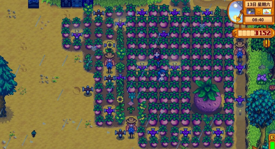 星露谷物语甜瓜怎么处理