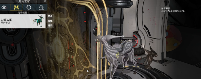 星际战甲好运猫怎么弄