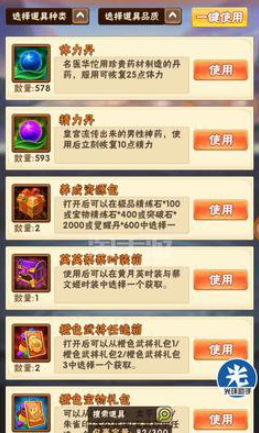 少年三国志双丹怎么使用